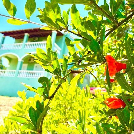 Green Hill House อายีโอส เยออร์ยิโอส ปากอน ภายนอก รูปภาพ